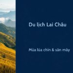 Du lịch Lai Châu mùa nào đẹp? Nên đi tháng mấy ngắm ruộng bậc thang và săn mây