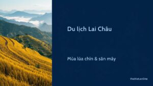 Du lịch Lai Châu mùa nào đẹp? Nên đi tháng mấy ngắm ruộng bậc thang và săn mây