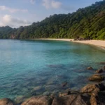 Côn Đảo mùa nào đẹp? Mưa, biển và mùa rùa theo tháng