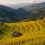 Mù Cang Chải mùa nào đẹp? Mùa lúa chín, mùa nước đổ