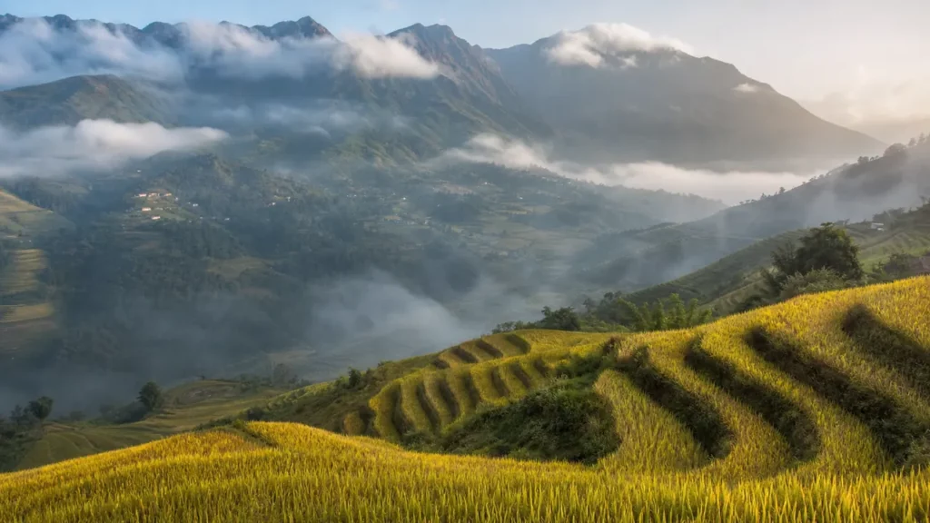 Sa Pa mùa nào đẹp? Săn mây, ngắm lúa và thời tiết 12 tháng