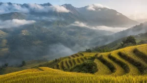 Sa Pa mùa nào đẹp? Săn mây, ngắm lúa và thời tiết 12 tháng