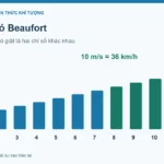 Bảng cấp gió Beaufort và cách đổi tốc độ gió