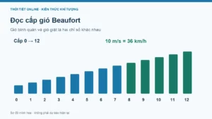 Bảng cấp gió Beaufort và cách đổi tốc độ gió