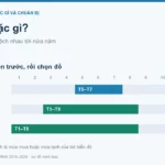 Đi biển mặc gì? Trang phục theo mùa, nắng và gió biển