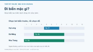 Đi biển mặc gì? Trang phục theo mùa, nắng và gió biển