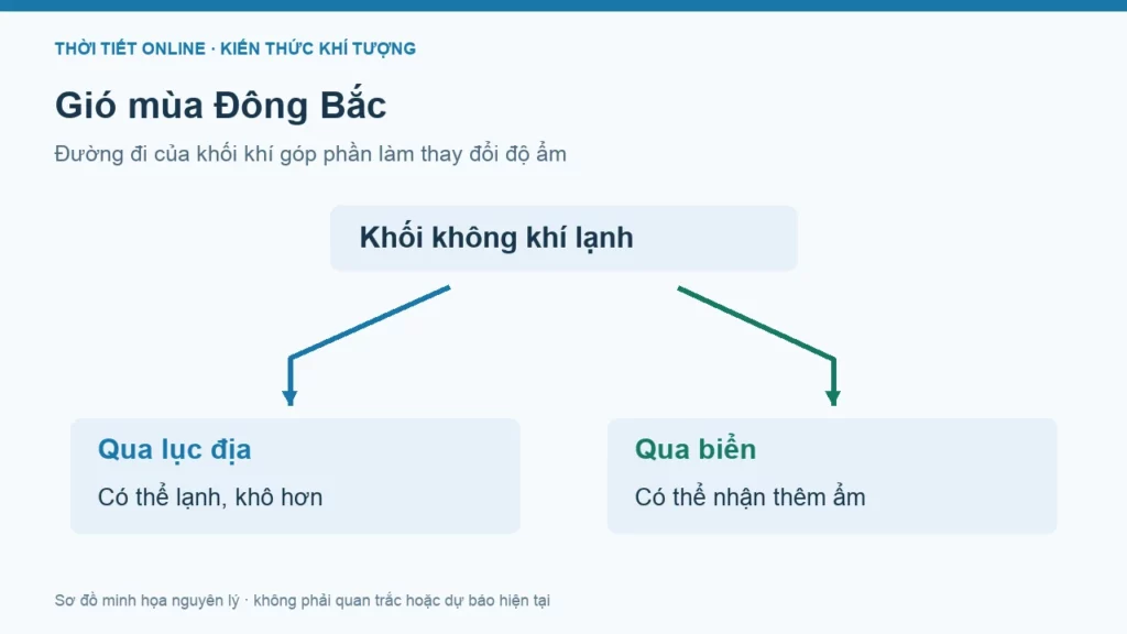 Gió mùa Đông Bắc: vì sao có đợt khô, đợt lạnh ẩm?