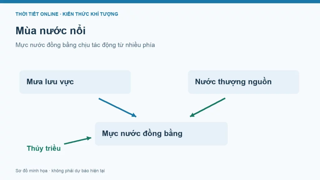Mùa nước nổi tháng mấy? Đọc mực nước đúng cách