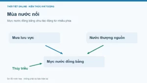 Mùa nước nổi tháng mấy? Đọc mực nước đúng cách