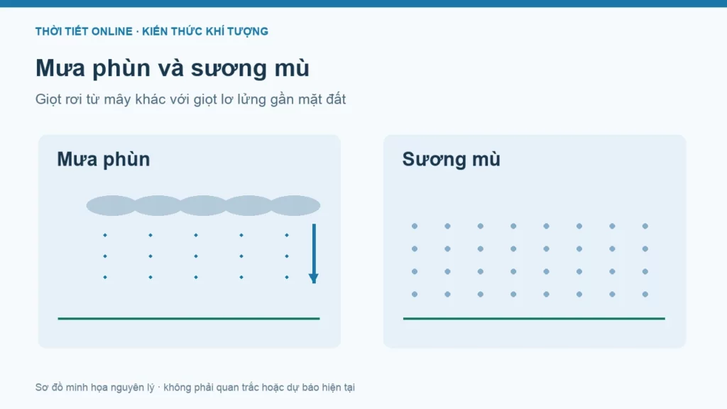 Mưa phùn là gì? Phân biệt với mưa nhỏ, sương mù