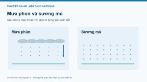 Mưa phùn là gì? Phân biệt với mưa nhỏ, sương mù
