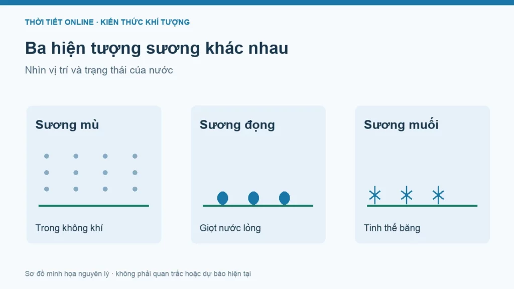 Sương mù và sương muối khác nhau thế nào?