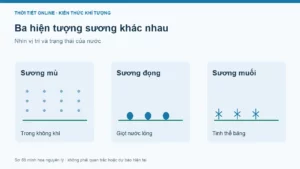 Sương mù và sương muối khác nhau thế nào?